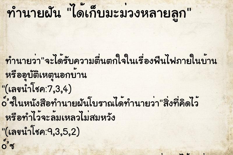 ทำนายฝัน ได้เก็บมะม่วงหลายลูก