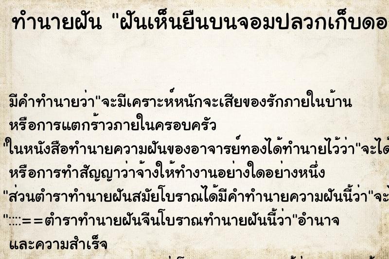 ทำนายฝันฝันเห็นยืนบนจอมปลวกเก็บดอกกระโดน ทำนายฝันทำนายฝันฝันเห็นยืนบนจอมปลวกเก็บดอกกระโดน