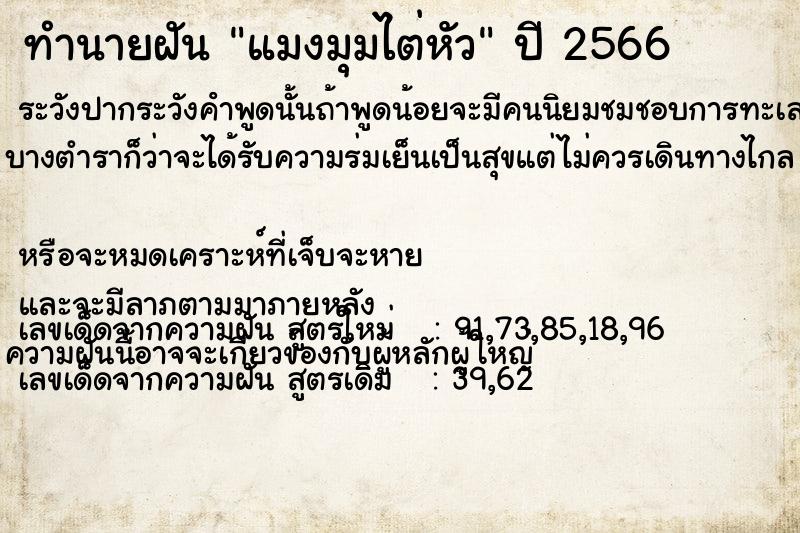 ทำนายฝันแมงมุมไต่หัว ทำนายฝันทำนายฝันแมงมุมไต่หัว