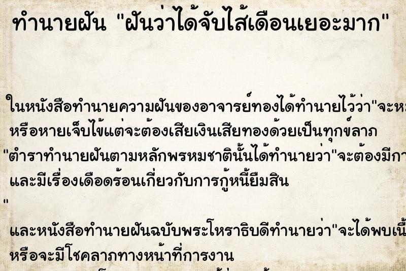 ทำนายฝันฝันว่าได้จับไส้เดือนเยอะมาก ทำนายฝันทำนายฝันฝันว่าได้จับไส้เดือนเยอะมาก