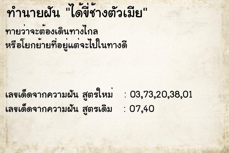 ทำนายฝันทำนายฝันได้ขี่ช้างตัวเมีย