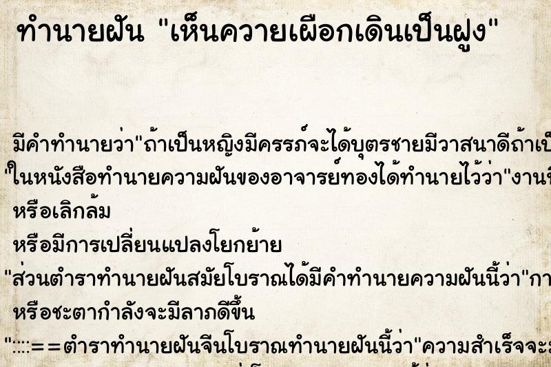 ทำนายฝัน เห็นควายเผือกเดินเป็นฝูง ทำนายฝัน เห็นควายเผือกเดินเป็นฝูง