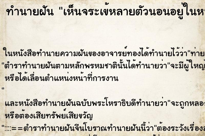ทำนายฝันทำนายฝันเห็นจระเข้หลายตัวนอนอยู่ในหนองน้ำ