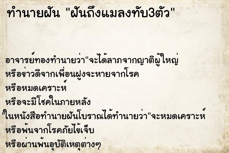ทำนายฝันทำนายฝันฝันถึงแมลงทับ3ตัว