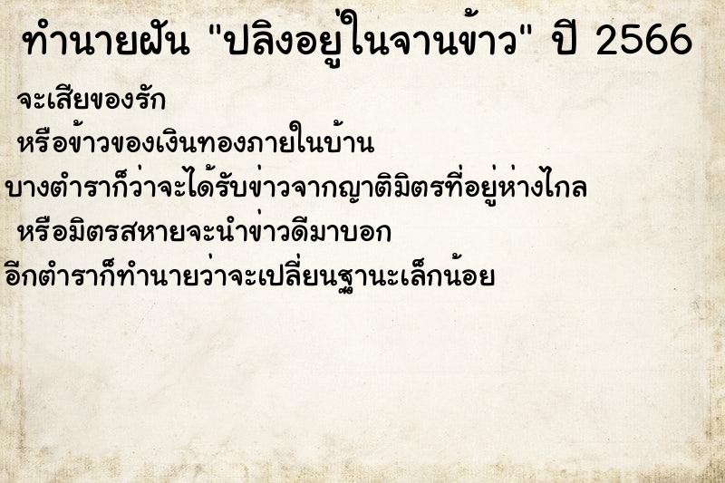 ทำนายฝันปลิงอยู่ในจานข้าว ทำนายฝันทำนายฝันปลิงอยู่ในจานข้าว