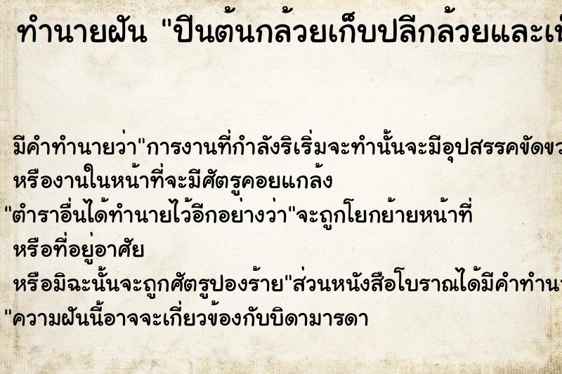 ทำนายฝัน ปีนต้นกล้วยเก็บปลีกล้วยและเห็นกล้วยสุกบนต้น ทำนายฝัน ปีนต้นกล้วยเก็บปลีกล้วยและเห็นกล้วยสุกบนต้น