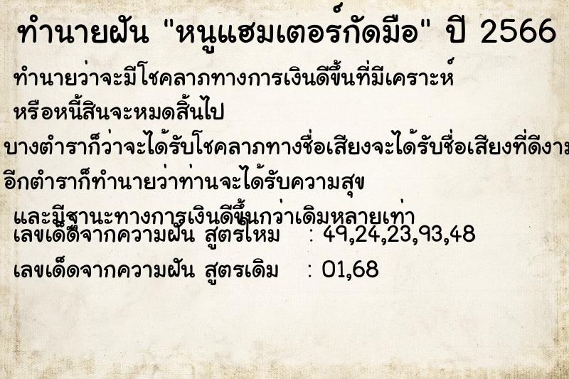 ทำนายฝันทำนายฝันหนูแฮมเตอร์กัดมือ