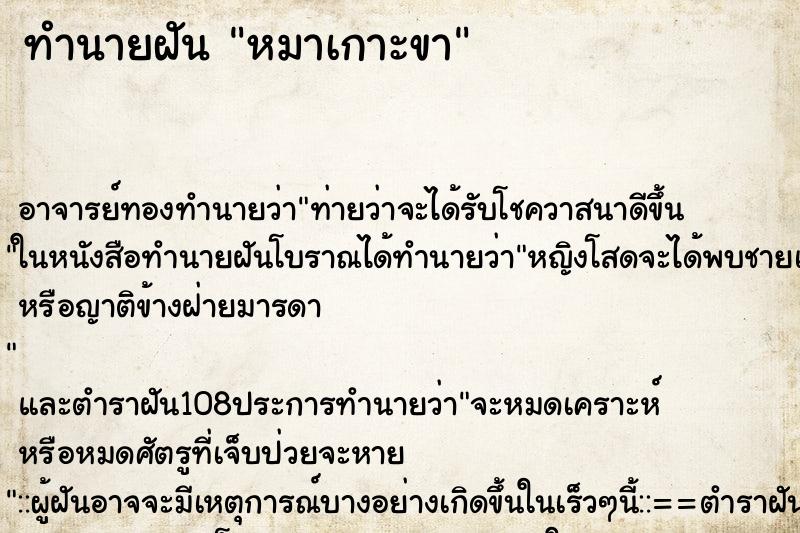 ทำนายฝัน หมาเกาะขา ตำราโบราณ แม่นที่สุดในโลก