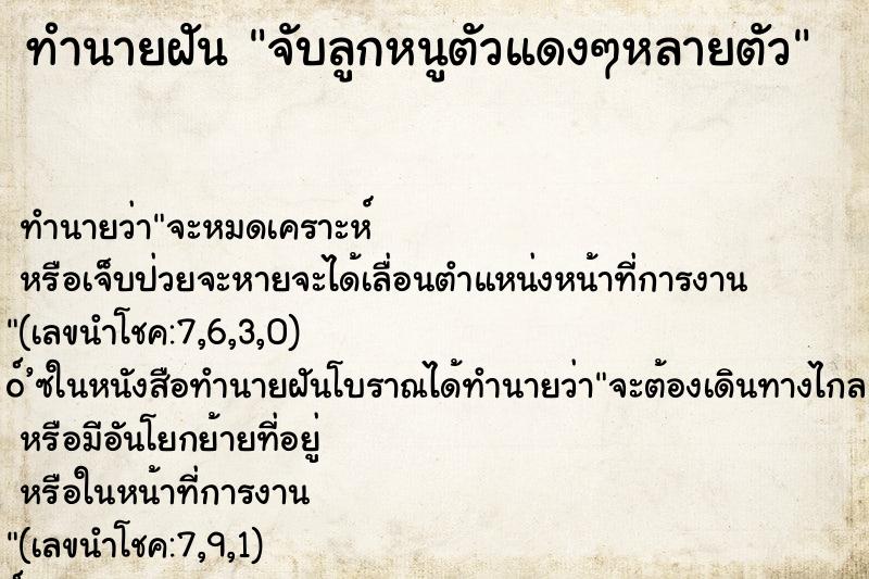 ทำนายฝัน จับลูกหนูตัวแดงๆหลายตัว ทำนายฝัน จับลูกหนูตัวแดงๆหลายตัว