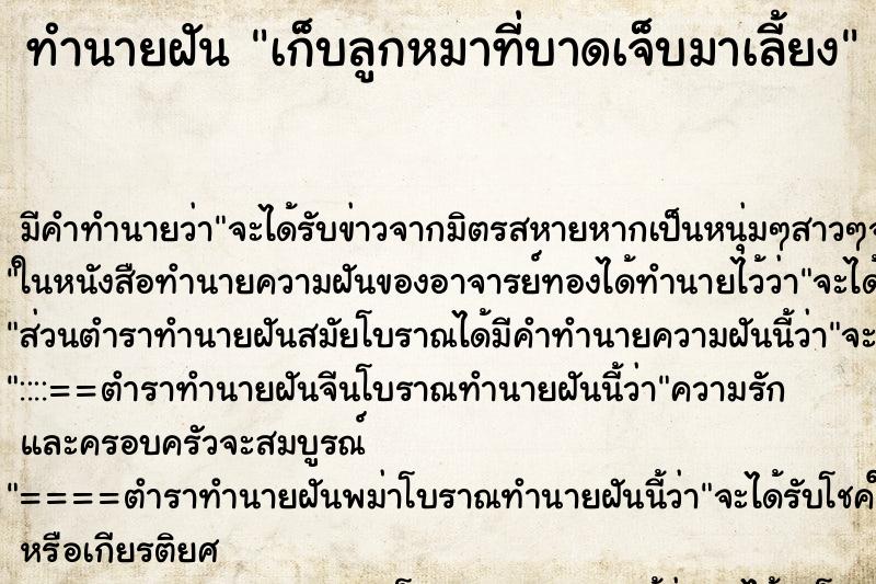 ทำนายฝัน เก็บลูกหมาที่บาดเจ็บมาเลี้ยง ทำนายฝัน เก็บลูกหมาที่บาดเจ็บมาเลี้ยง