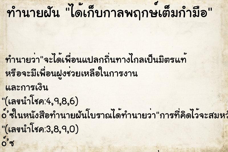 ทำนายฝันทำนายฝันได้เก็บกาลพฤกษ์เต็มกำมือ