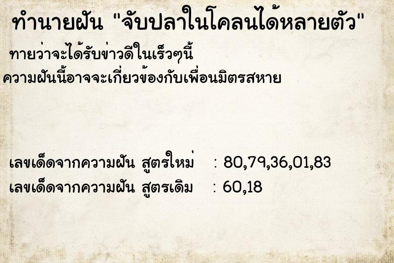 ทำนายฝันจับปลาในโคลนได้หลายตัว ทำนายฝันทำนายฝันจับปลาในโคลนได้หลายตัว