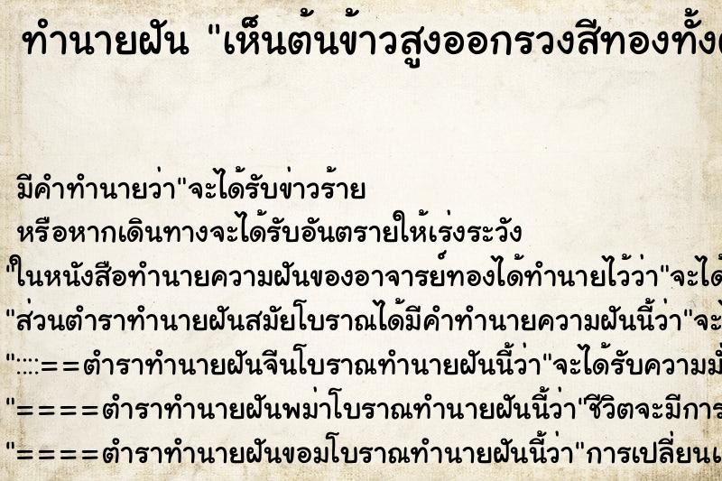 ทำนายฝัน เห็นต้นข้าวสูงออกรวงสีทองทั้งต้น ทำนายฝัน เห็นต้นข้าวสูงออกรวงสีทองทั้งต้น