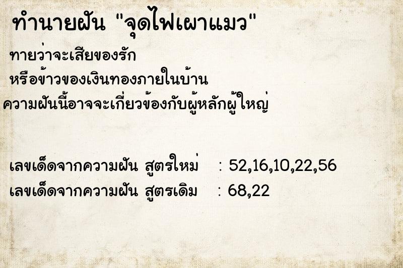 ทำนายฝันทำนายฝันจุดไฟเผาแมว