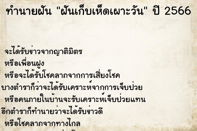 ทำนายฝันทำนายฝันฝันเก็บเห็ดเผาะวัน
