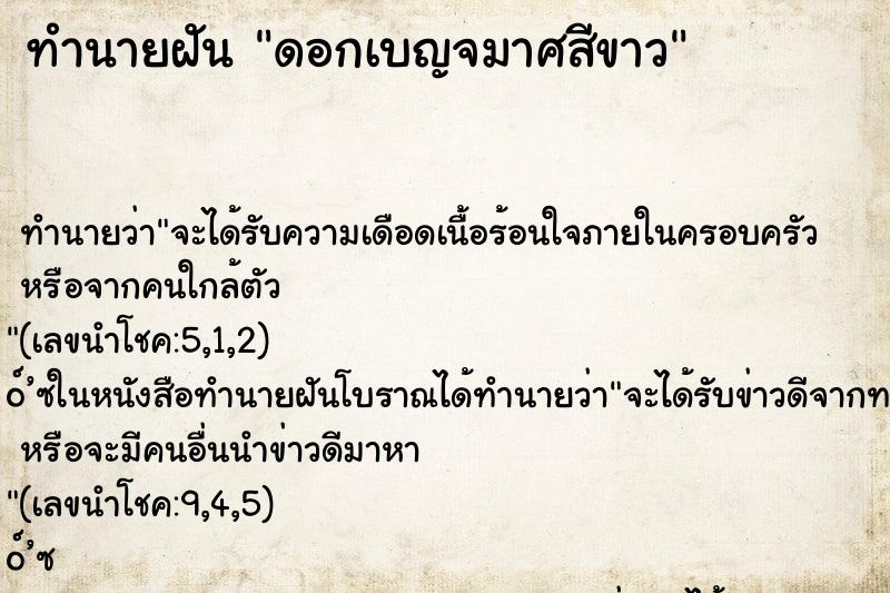 ทำนายฝัน ดอกเบญจมาศสีขาว