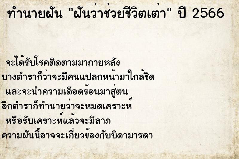 ทำนายฝันฝันว่าช่วยชีวิตเต่า ทำนายฝันทำนายฝันฝันว่าช่วยชีวิตเต่า