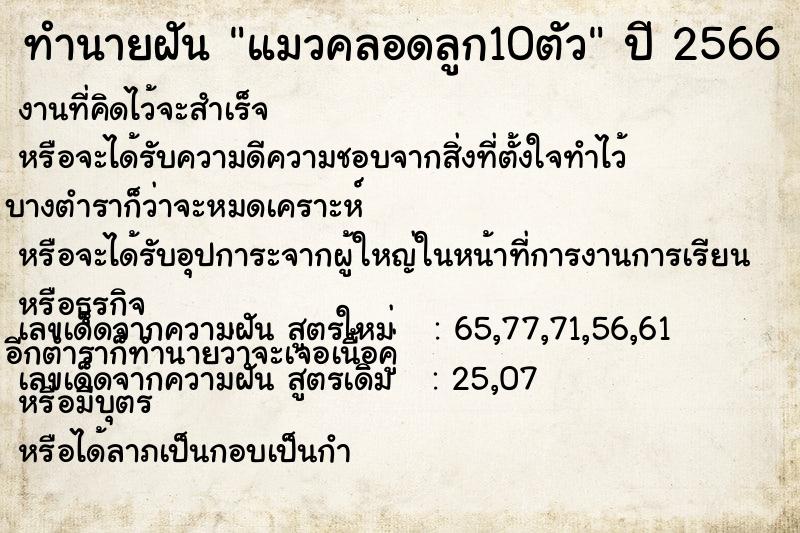 ทำนายฝัน แมวคลอดลูก10ตัว ทำนายฝัน แมวคลอดลูก10ตัว