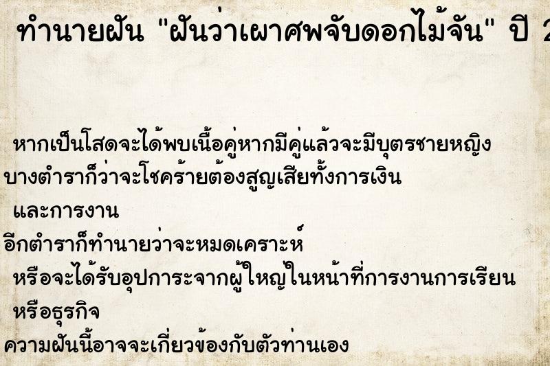 ทำนายฝันฝันว่าเผาศพจับดอกไม้จัน ทำนายฝันทำนายฝันฝันว่าเผาศพจับดอกไม้จัน