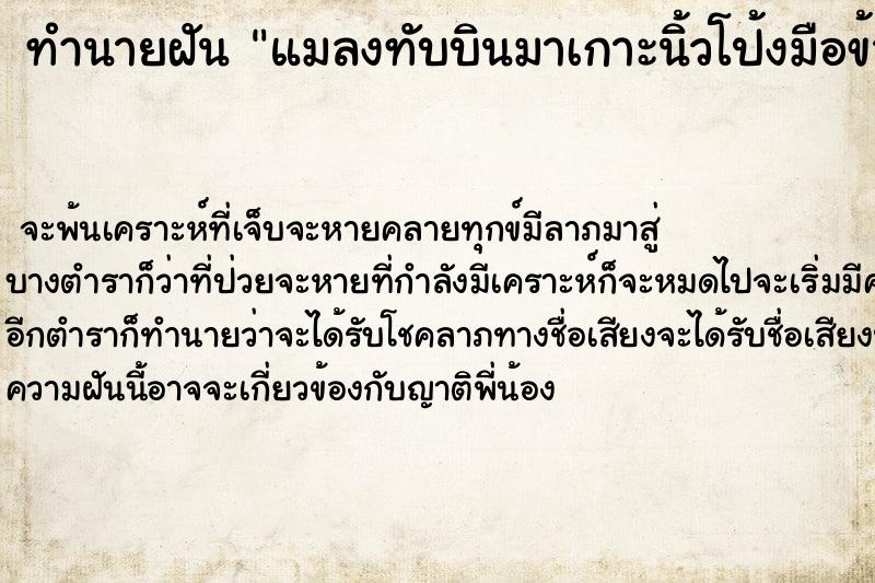 ทำนายฝัน แมลงทับบินมาเกาะนิ้วโป้งมือข้างขวา ทำนายฝัน แมลงทับบินมาเกาะนิ้วโป้งมือข้างขวา