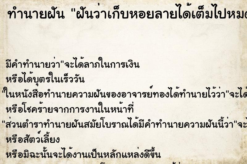 ทำนายฝัน ฝันว่าเก็บหอยลายได้เต็มไปหมด ทำนายฝัน ฝันว่าเก็บหอยลายได้เต็มไปหมด