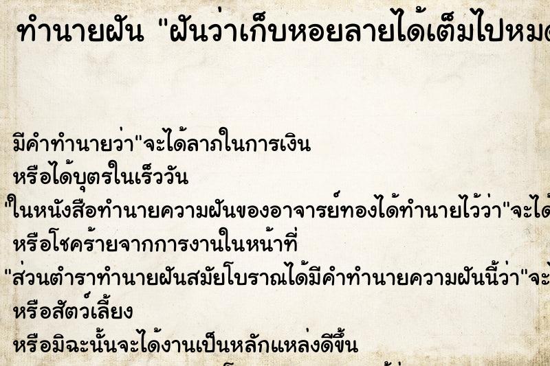 ทำนายฝัน ฝันว่าเก็บหอยลายได้เต็มไปหมด ตำราโบราณ แม่นที่สุดในโลก