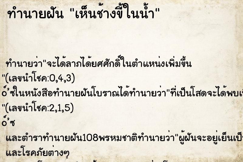 ทำนายฝันเห็นช้างขี้ในน้ำ ทำนายฝันทำนายฝันเห็นช้างขี้ในน้ำ