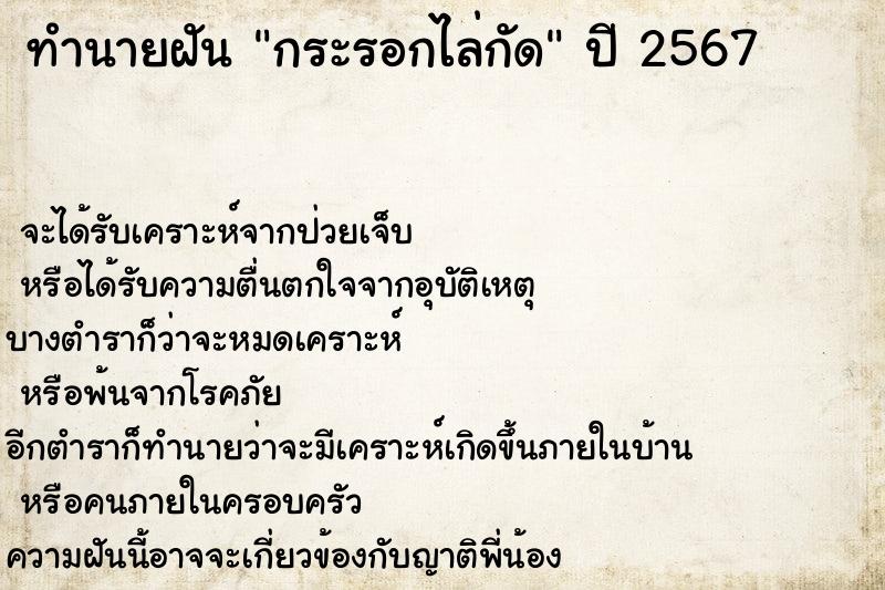 ทำนายฝัน กระรอกไล่กัด ตำราโบราณ แม่นที่สุดในโลก