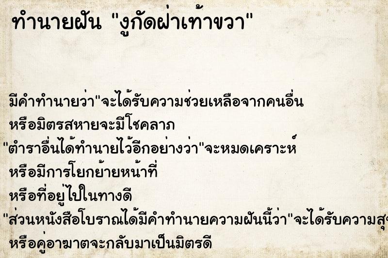 ทำนายฝัน งูกัดฝ่าเท้าขวา ตำราโบราณ แม่นที่สุดในโลก