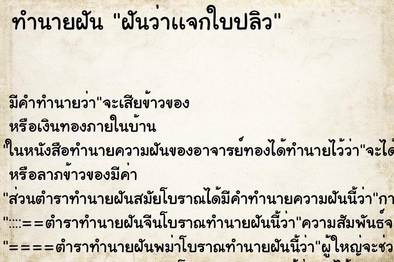 ทำนายฝันฝันว่าเเจกใบปลิว ทำนายฝันทำนายฝันฝันว่าเเจกใบปลิว
