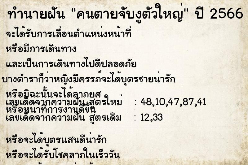 ทำนายฝันคนตายจับงูตัวใหญ่ ทำนายฝันทำนายฝันคนตายจับงูตัวใหญ่