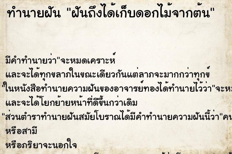 ทำนายฝัน ฝันถึงได้เก็บดอกไม้จากต้น ทำนายฝัน ฝันถึงได้เก็บดอกไม้จากต้น