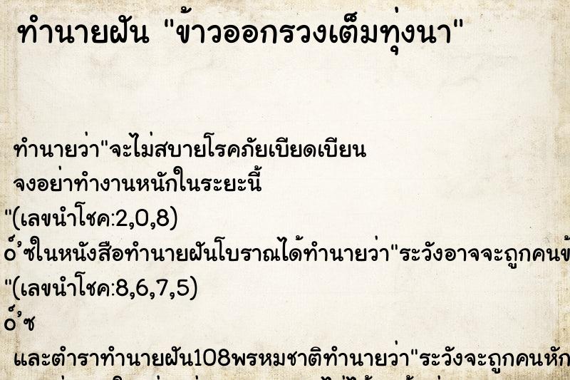 ทำนายฝัน ข้าวออกรวงเต็มทุ่งนา ทำนายฝัน ข้าวออกรวงเต็มทุ่งนา