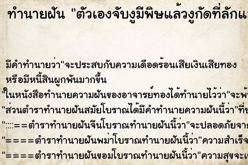 ทำนายฝันตัวเองจับงูมีพิษแล้วงูกัดที่ลักแล้ดัานขวาตัวเอง ทำนายฝันทำนายฝันตัวเองจับงูมีพิษแล้วงูกัดที่ลักแล้ดัานขวาตัวเอง