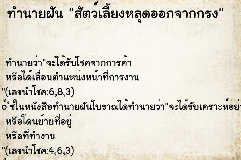 ทำนายฝัน สัตว์เลี้ยงหลุดออกจากกรง ทำนายฝัน สัตว์เลี้ยงหลุดออกจากกรง