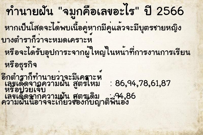 ทำนายฝันทำนายฝันจมูกคือเลขอะไร