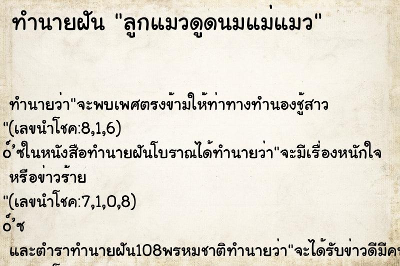 ทำนายฝัน ลูกแมวดูดนมแม่แมว ทำนายฝัน ลูกแมวดูดนมแม่แมว