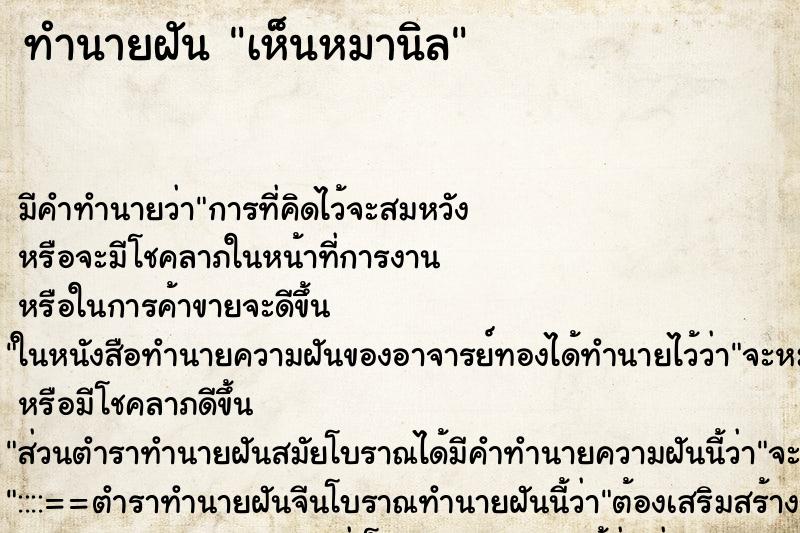 ทำนายฝันเห็นหมานิล ทำนายฝันทำนายฝันเห็นหมานิล