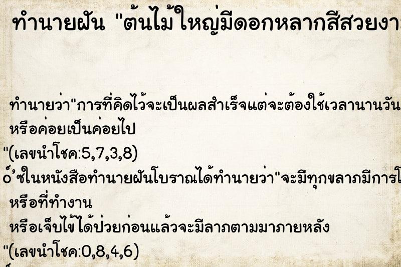 ทำนายฝันทำนายฝันต้นไม้ใหญ่มีดอกหลากสีสวยงาม