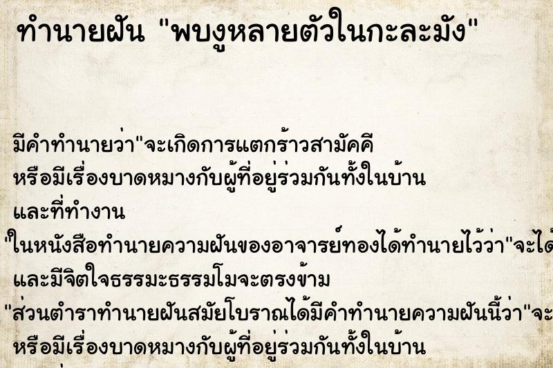 ทำนายฝัน พบงูหลายตัวในกะละมัง ตำราโบราณ แม่นที่สุดในโลก