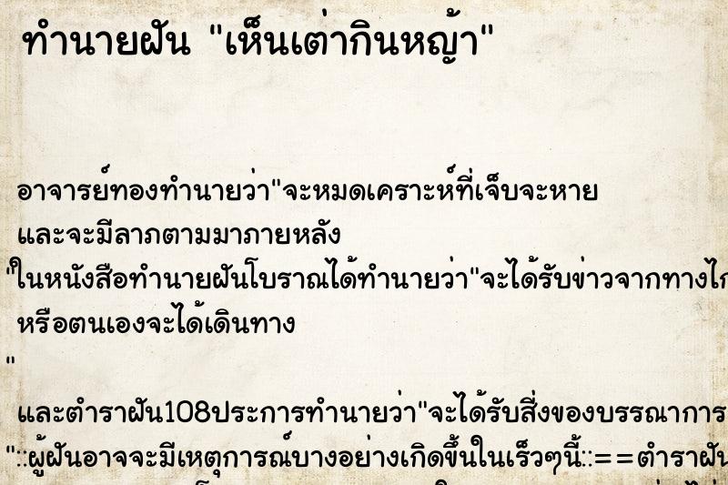 ทำนายฝันเห็นเต่ากินหญ้า ทำนายฝันทำนายฝันเห็นเต่ากินหญ้า