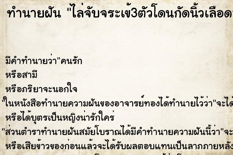 ทำนายฝัน ไล่จับจระเข้3ตัวโดนกัดนิ้วเลือดออก