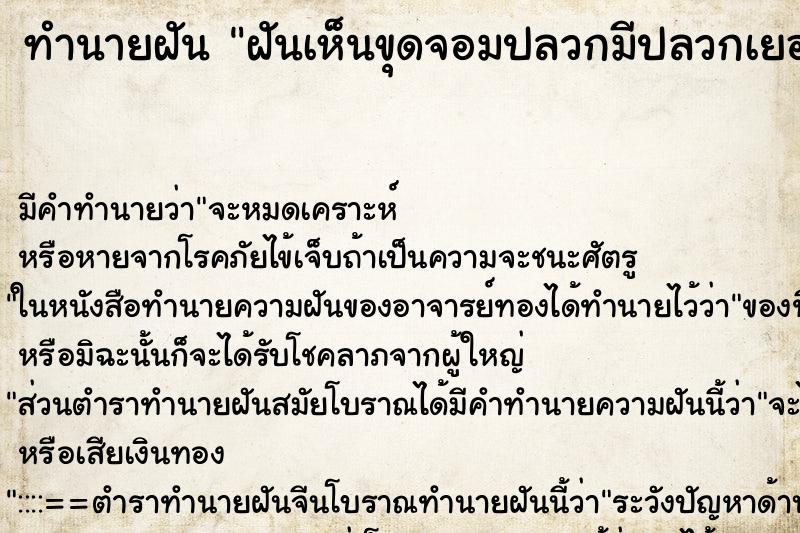 ทำนายฝันทำนายฝันฝันเห็นขุดจอมปลวกมีปลวกเยอะมาก