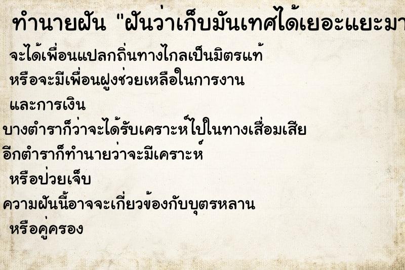 ทำนายฝันฝันว่าเก็บมันเทศได้เยอะแยะมากมาย ทำนายฝันทำนายฝันฝันว่าเก็บมันเทศได้เยอะแยะมากมาย