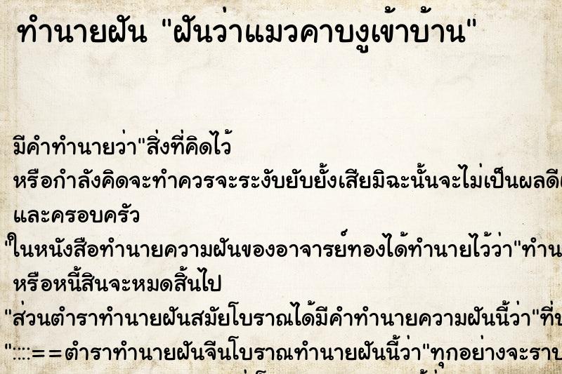 ทำนายฝัน ฝันว่าแมวคาบงูเข้าบ้าน ทำนายฝัน ฝันว่าแมวคาบงูเข้าบ้าน