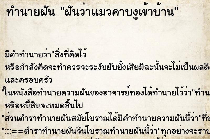 ทำนายฝัน ฝันว่าแมวคาบงูเข้าบ้าน ตำราโบราณ แม่นที่สุดในโลก