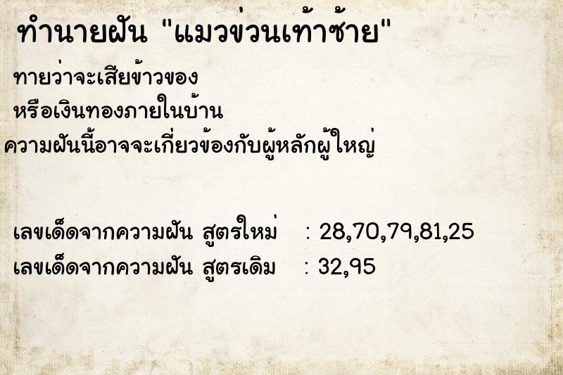 ทำนายฝันแมวข่วนเท้าซ้าย ทำนายฝันทำนายฝันแมวข่วนเท้าซ้าย