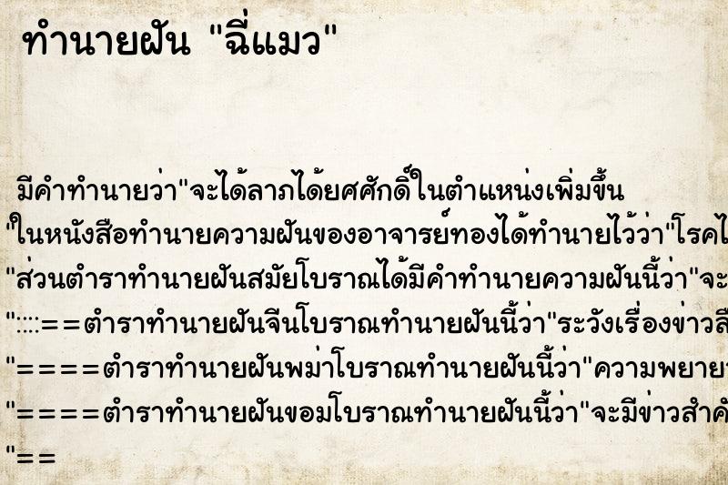 ทำนายฝันฉี่แมว ทำนายฝันทำนายฝันฉี่แมว