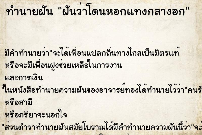 ทำนายฝัน ฝันว่าโดนหอกแทงกลางอก ทำนายฝัน ฝันว่าโดนหอกแทงกลางอก