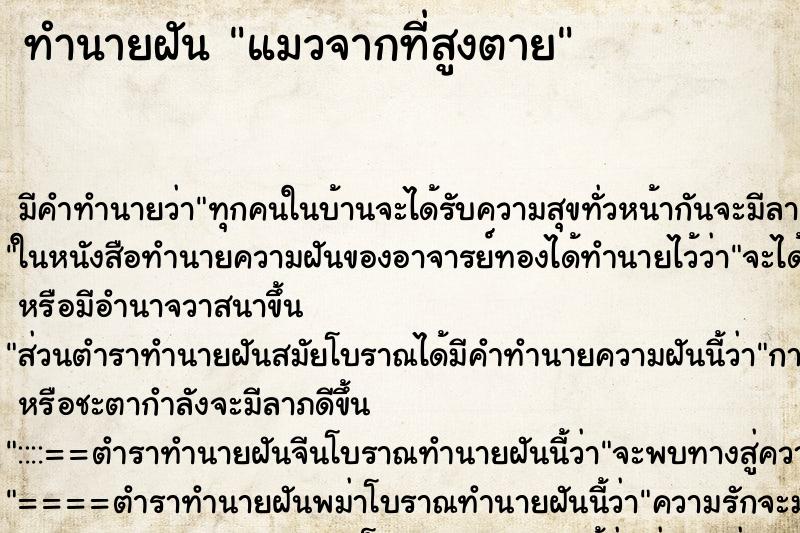 ทำนายฝัน แมวจากที่สูงตาย